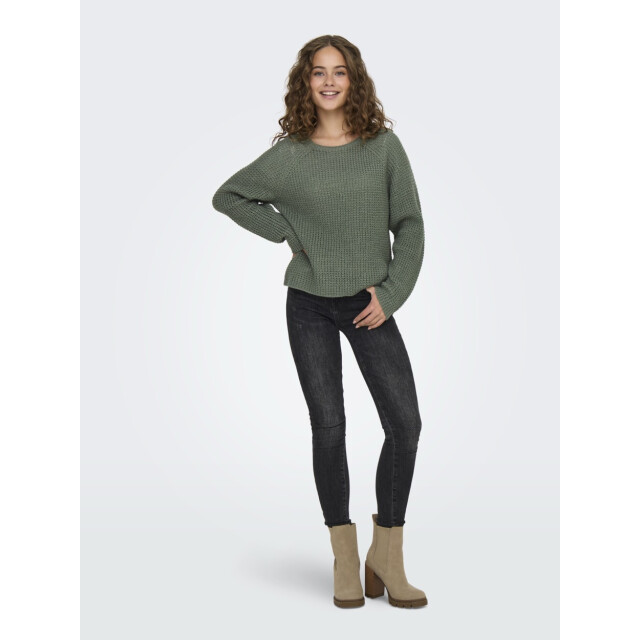 Jacqueline de Yong Jdyellen ls oneck raglan pullover oud 4219.23.0014 large