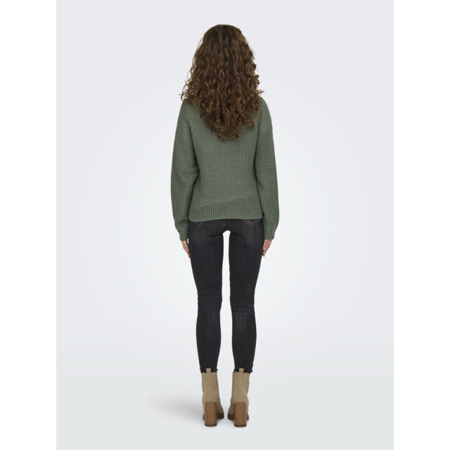 Jacqueline de Yong Jdyellen ls oneck raglan pullover oud 4219.23.0014 large
