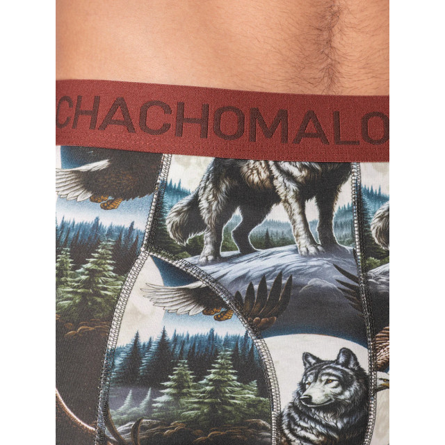 Muchachomalo Heren 10-pack boxershorts U-REMIX1010-19 large