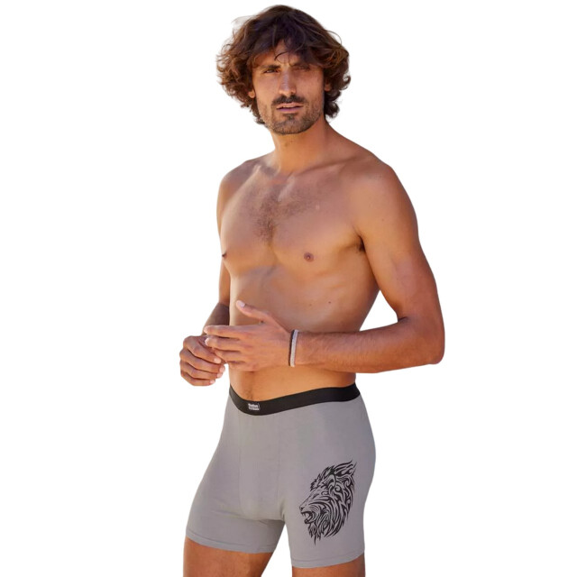Atlas For Men Heren lion stretch boxershorts (set van 3) UTAF1839_bluegreykhaki large