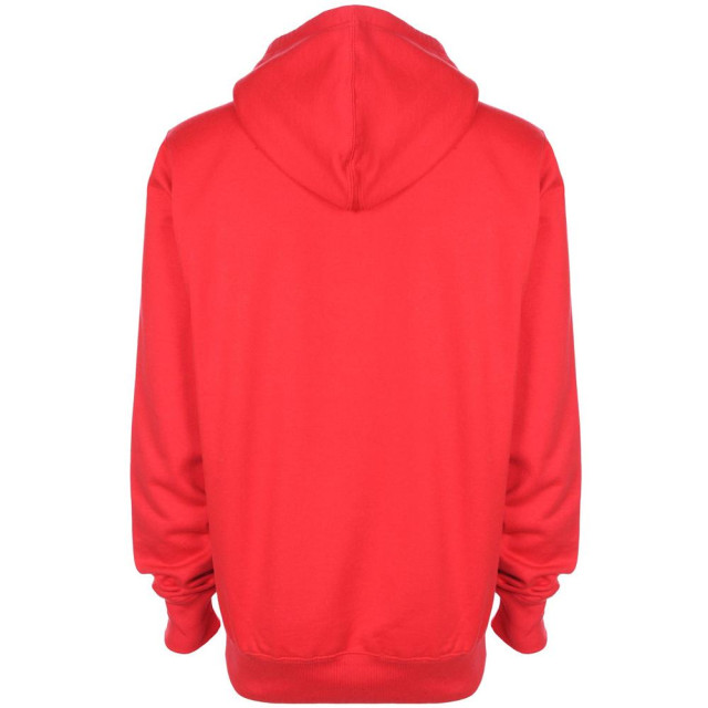 FDM Unisex plain original hooded sweatshirt / hoodie (300 gsm) UTFK367_firered large