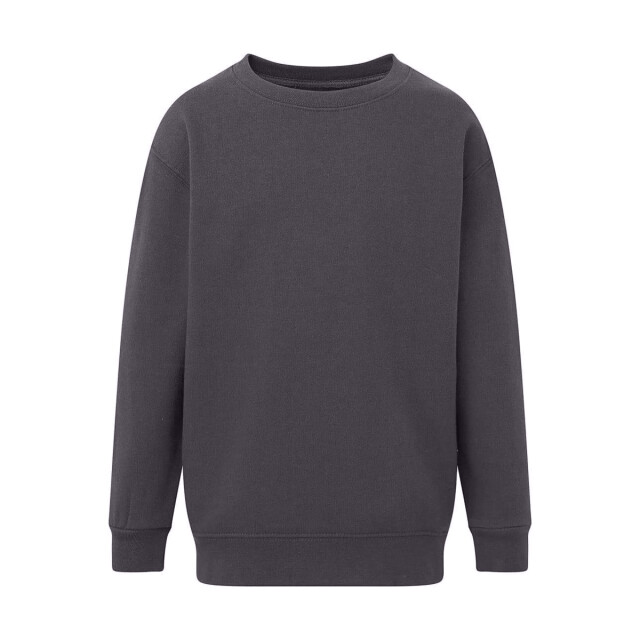 SG Sweatshirt met ronde hals voor kinderen/kinderen UTFK3289_grey large