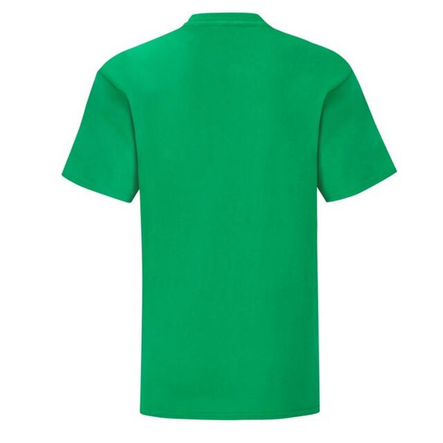 Fruit of the Loom Effen kinder/kids iconic 150 t-shirt UTFK3251_kellygreen large