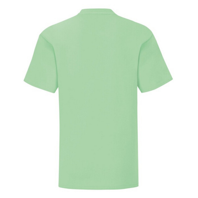 Fruit of the Loom Effen kinder/kids iconic 150 t-shirt UTFK3251_neomint large