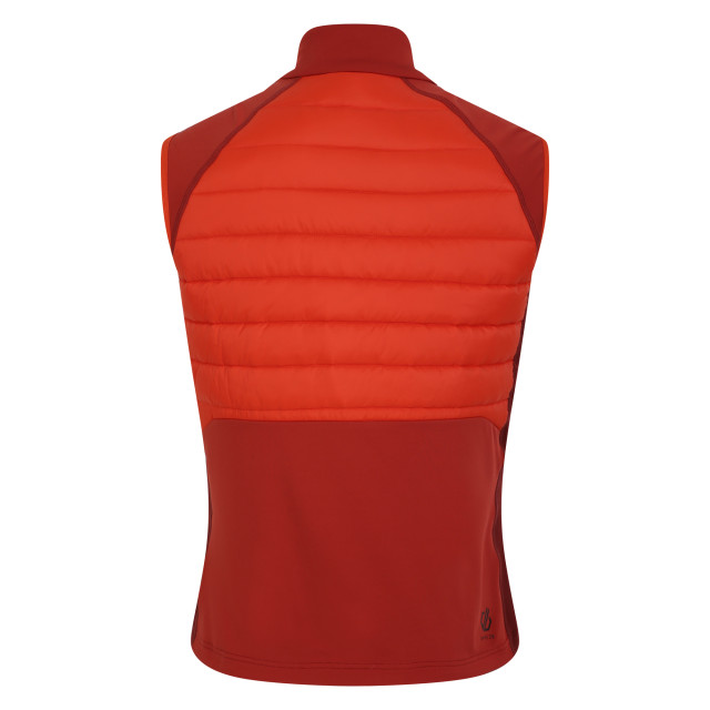 Dare2b Heren aflopend gilet UTRG9971_cinnamontuscanred large