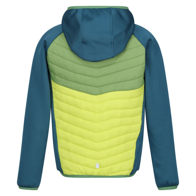 Regatta Kinders/kids kielder viii hybride jas UTRG9921_moroccanbluepiquantgreencitronlime large