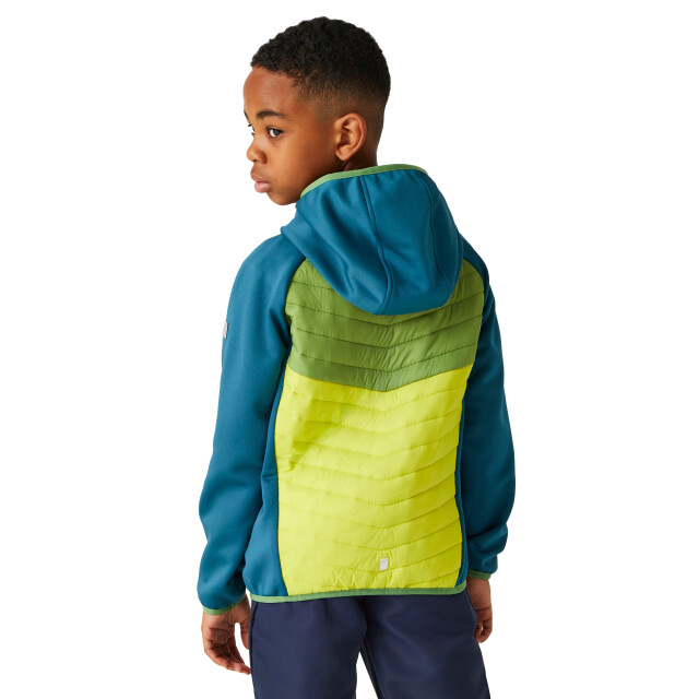 Regatta Kinders/kids kielder viii hybride jas UTRG9921_moroccanbluepiquantgreencitronlime large