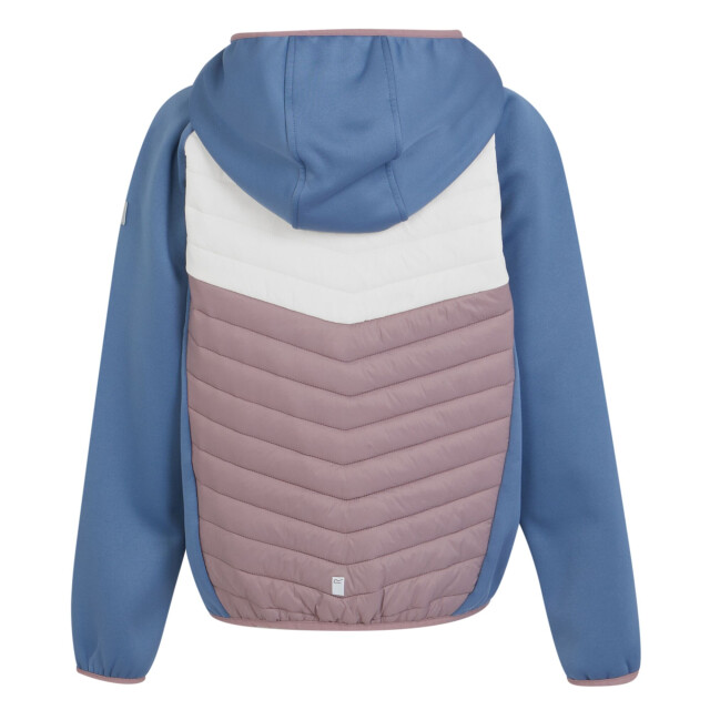 Regatta Kinders/kids kielder viii hybride jas UTRG9921_coronetbluewhite large