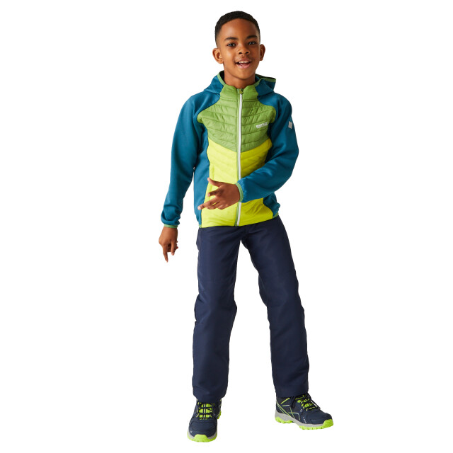 Regatta Kinders/kids kielder viii hybride jas UTRG9921_moroccanbluepiquantgreencitronlime large