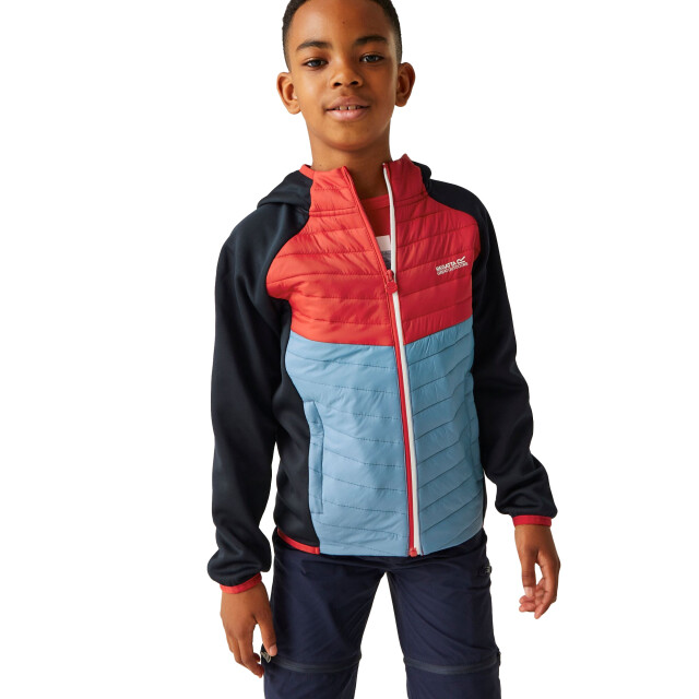 Regatta Kinders/kids kielder viii hybride jas UTRG9921_navydangerredcoronetblue large