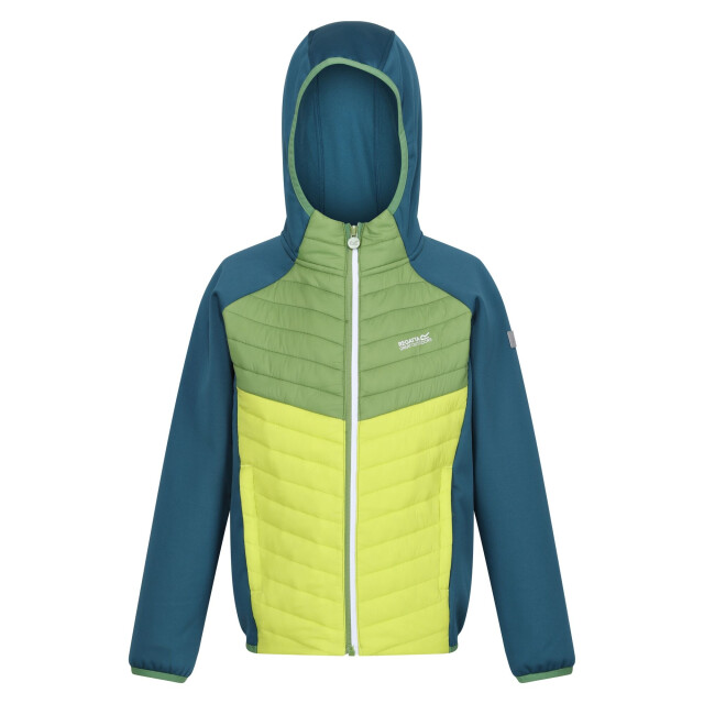 Regatta Kinders/kids kielder viii hybride jas UTRG9921_moroccanbluepiquantgreencitronlime large