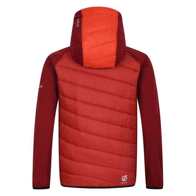 Dare2b Kinder/kids explore hybride jas UTRG9905_syrahcinnamon large