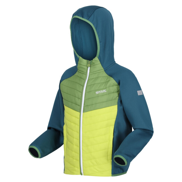 Regatta Kinders/kids kielder viii hybride jas UTRG9921_moroccanbluepiquantgreencitronlime large