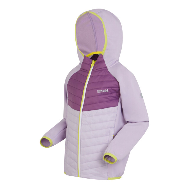 Regatta Kinders/kids kielder viii hybride jas UTRG9921_lilacfrostsunsetpurple large