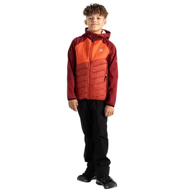 Dare2b Kinder/kids explore hybride jas UTRG9905_syrahcinnamon large