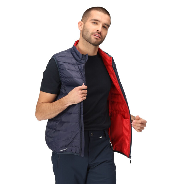 Regatta Heren marizion gewatteerd gilet UTRG9603_navydangerred large