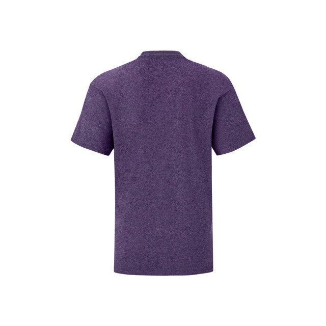 Fruit of the Loom Kinderen/kinderen iconic 150 polycotton t-shirt UTFK3112_heatherpurple large