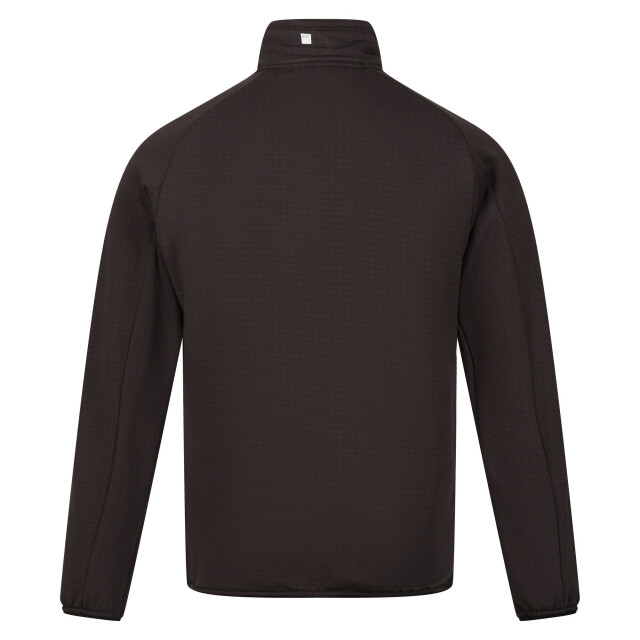 Regatta Heren highton lite ii lichtgewicht soft shell jas UTRG9473_ash large
