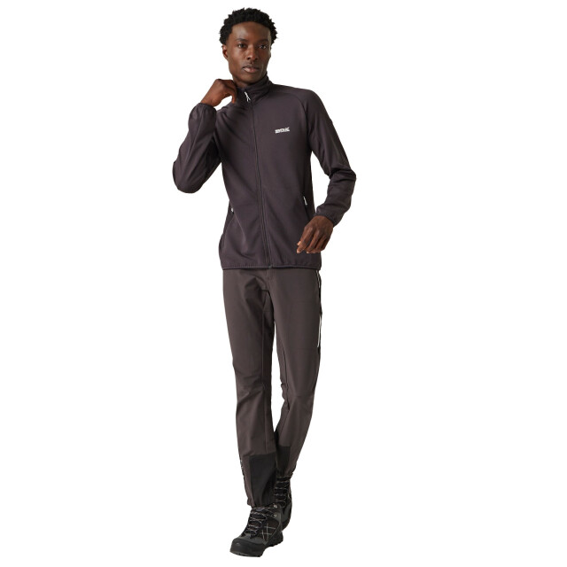 Regatta Heren highton lite ii lichtgewicht soft shell jas UTRG9473_ash large