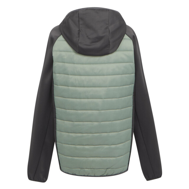 Regatta Heren andreson viii hybride jas UTRG9449_agavegreenash large