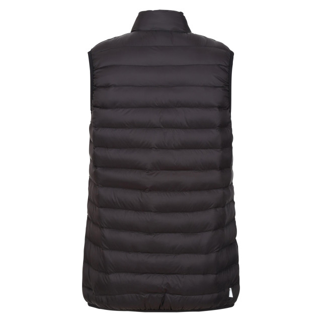 Regatta Dames marizion gilet UTRG9438_blacksealgrey large