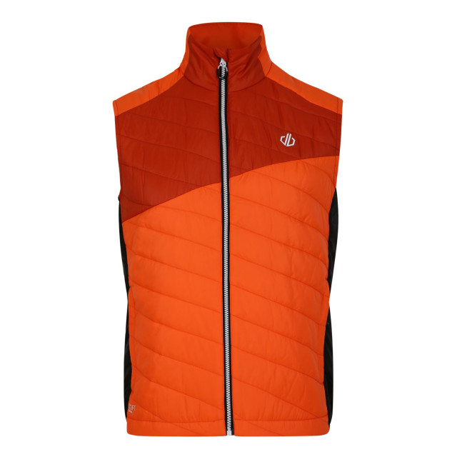 Dare2b Heren touring gewatteerd lichtgewicht gilet UTRG9015_puffinsorangerooibostea large