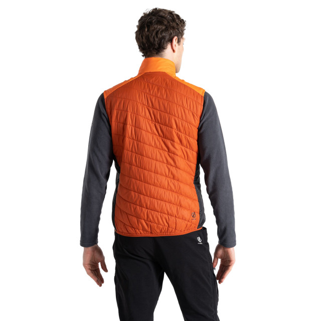 Dare2b Heren touring gewatteerd lichtgewicht gilet UTRG9015_puffinsorangerooibostea large