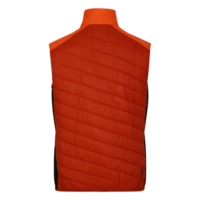 Dare2b Heren touring gewatteerd lichtgewicht gilet UTRG9015_puffinsorangerooibostea large