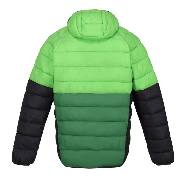 Regatta Heren harrock ii gewatteerd jack UTRG9078_jasminegreenfieldgreen large