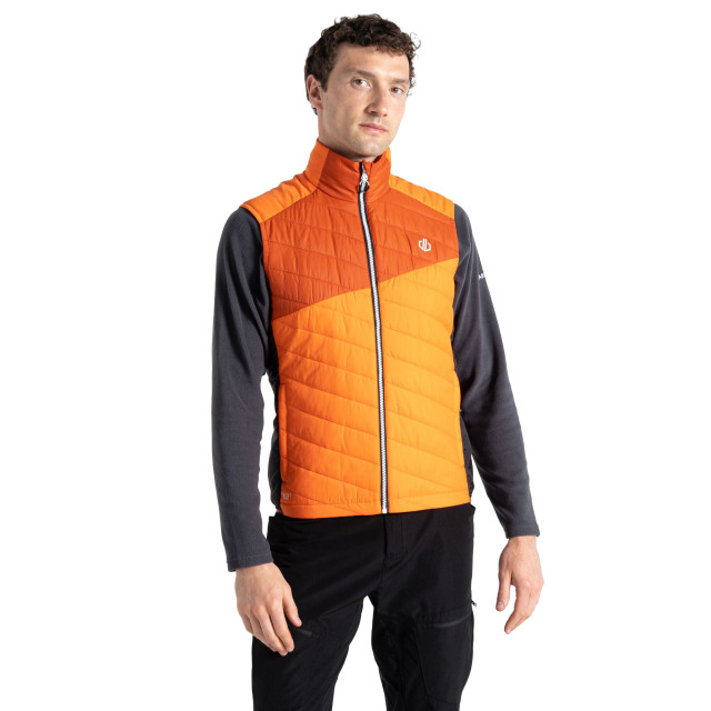 Dare2b Heren touring gewatteerd lichtgewicht gilet UTRG9015_puffinsorangerooibostea large