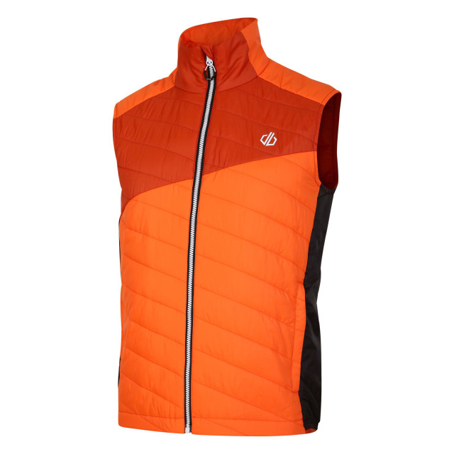 Dare2b Heren touring gewatteerd lichtgewicht gilet UTRG9015_puffinsorangerooibostea large