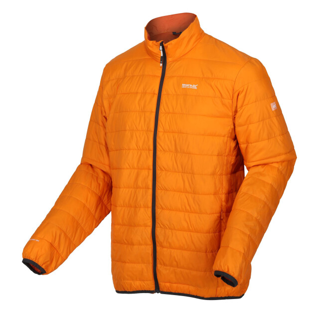 Regatta Hillpack gewatteerd geïsoleerd jasje heren UTRG6350_orangepeelburntcopper large