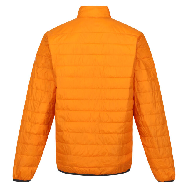 Regatta Hillpack gewatteerd geïsoleerd jasje heren UTRG6350_orangepeelburntcopper large