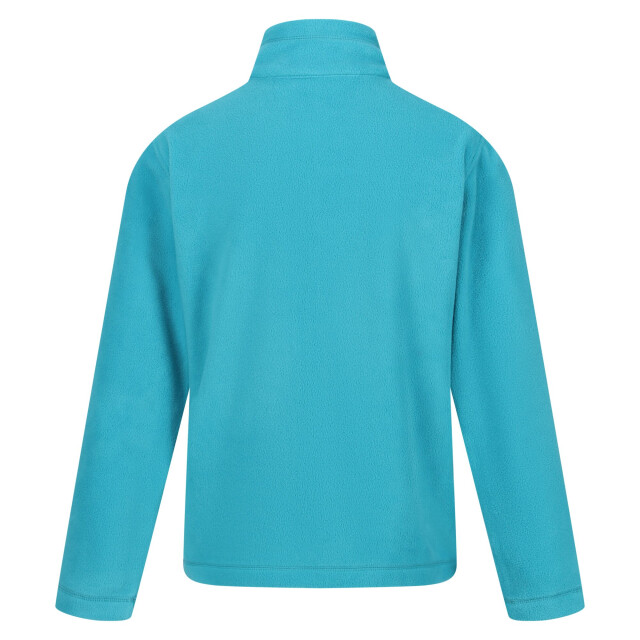Regatta Groot buitenshuis kinderen/kinderen king ii lichtgewicht full zip fleece jasje UTRG565_tahoeblue large
