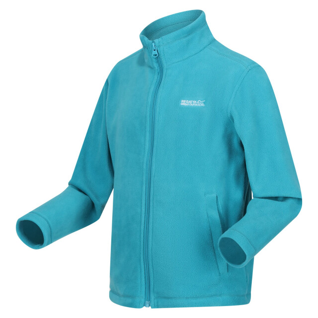 Regatta Groot buitenshuis kinderen/kinderen king ii lichtgewicht full zip fleece jasje UTRG565_tahoeblue large