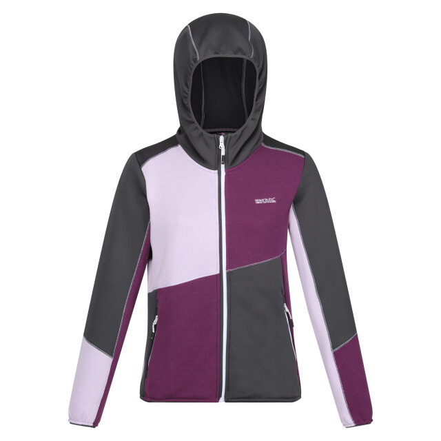 Regatta Dames walbury vii marl full zip fleecejack UTRG10821_sealgreysunsetpurplelilacfrost large