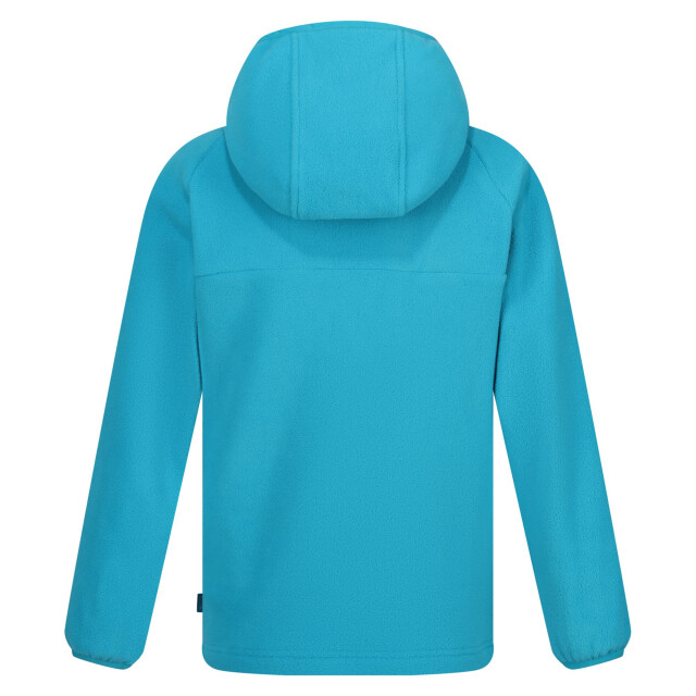 Regatta Kinderen/kinderen fayley fleece hoodie UTRG10800_tahoeblue large