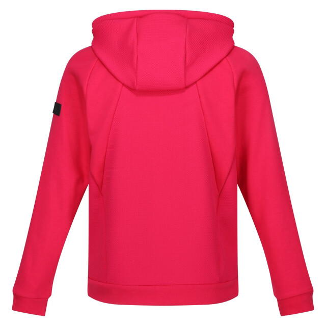 Regatta Dames flamino full zip fleecejack UTRG10776_pinkpotion large