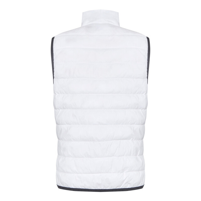 Regatta Dames hillpack ii gilet UTRG10774_white large