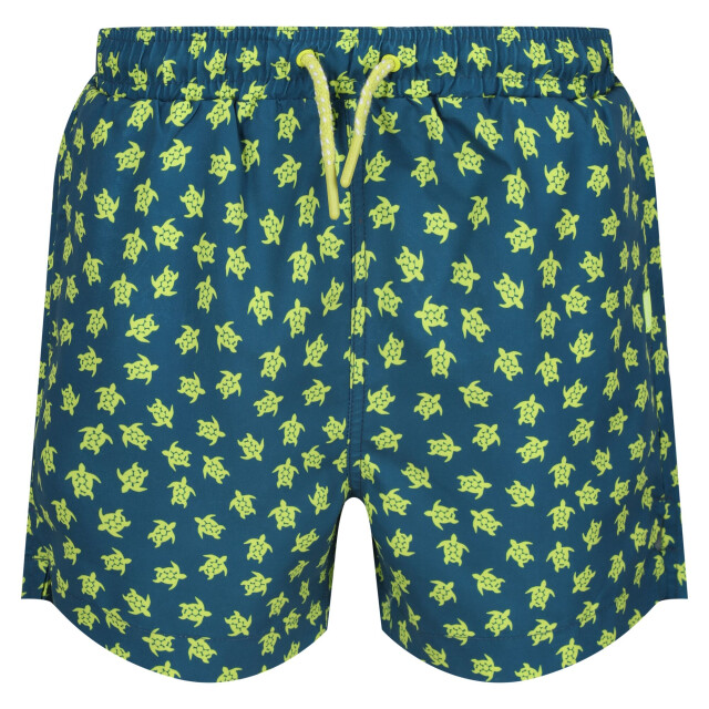 Regatta Jongens skander iii schildpad zwemshort UTRG10724_moroccanblue large