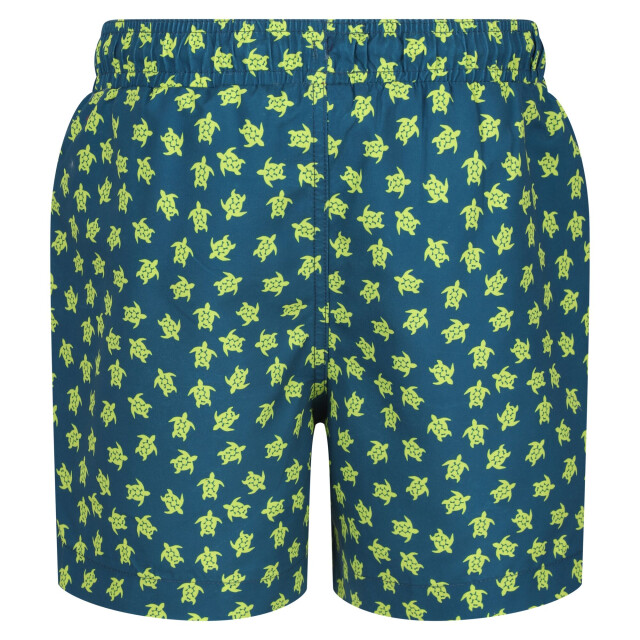 Regatta Jongens skander iii schildpad zwemshort UTRG10724_moroccanblue large