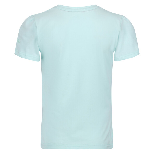 Regatta Kinderen/kinderen bosley vii wave t-shirt UTRG10695_bleachedaqua large