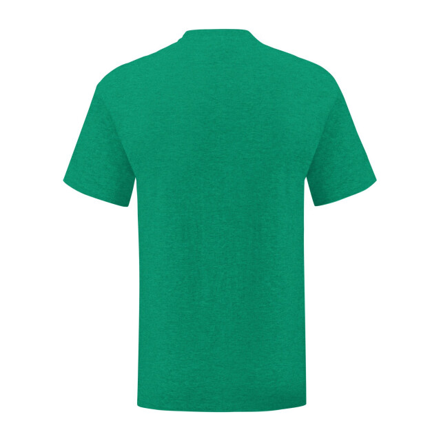Fruit of the Loom Unisex adult iconic heather t-shirt UTLT1796_heathergreen large