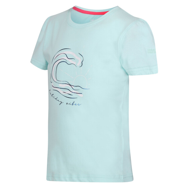 Regatta Kinderen/kinderen bosley vii wave t-shirt UTRG10695_bleachedaqua large