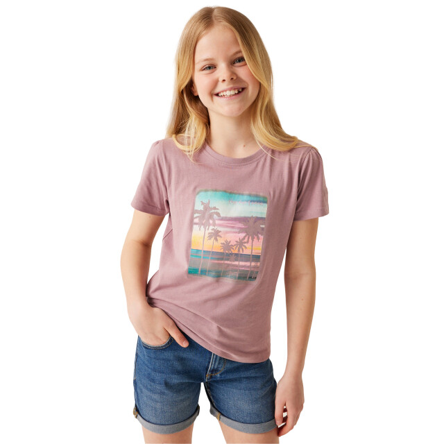 Regatta Bosley vii happy days of summer strand t-shirt kinderen/kinderen UTRG10611_heather large