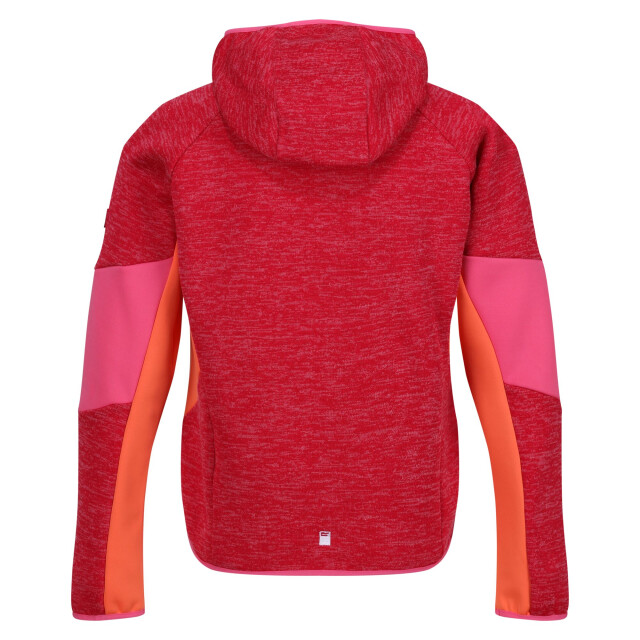 Regatta Kinder/kinder dissolver viii full zip fleecejack UTRG10505_pinkpotionflamingopinksatsuma large