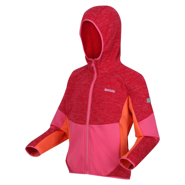 Regatta Kinder/kinder dissolver viii full zip fleecejack UTRG10505_pinkpotionflamingopinksatsuma large