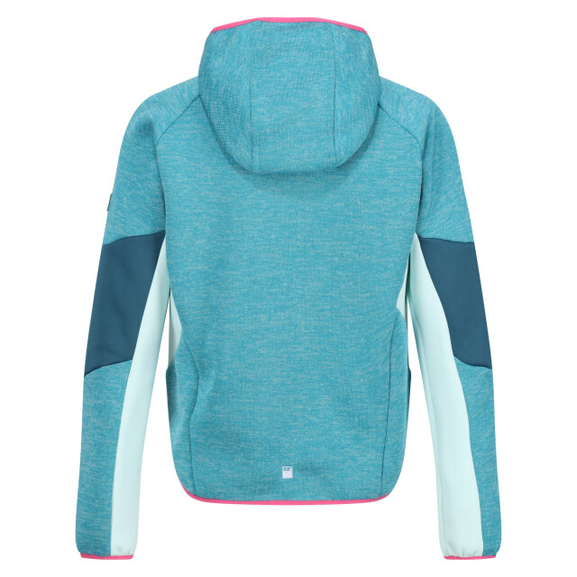 Regatta Kinder/kinder dissolver viii full zip fleecejack UTRG10505_tahoebluemoroccanbluebleachedaqua large