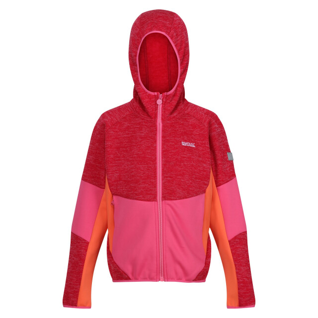 Regatta Kinder/kinder dissolver viii full zip fleecejack UTRG10505_pinkpotionflamingopinksatsuma large