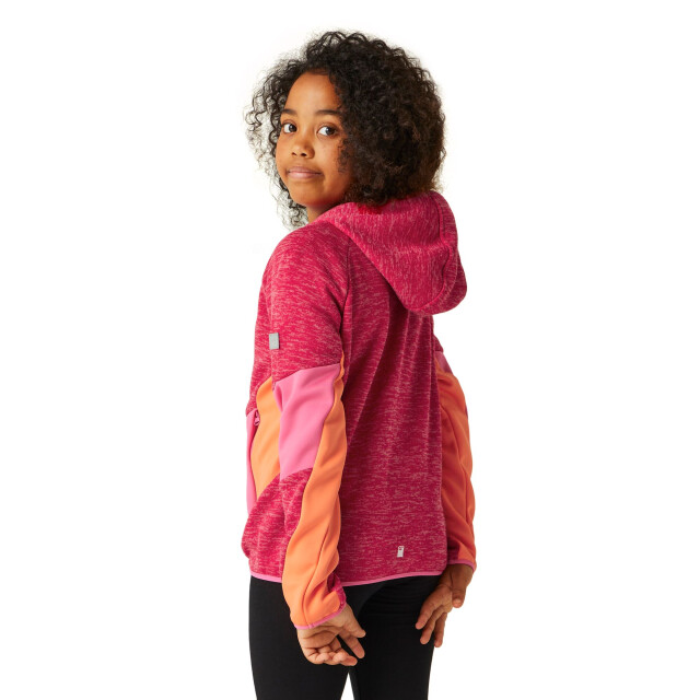 Regatta Kinder/kinder dissolver viii full zip fleecejack UTRG10505_pinkpotionflamingopinksatsuma large